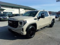 Image for 2022 GMC Sierra 1500 ELEVATION ID: 7737449