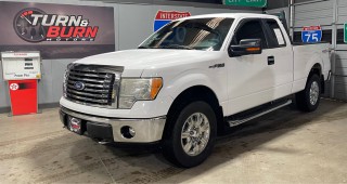 Image for 2011 Ford F-150 XL ID: 7154034
