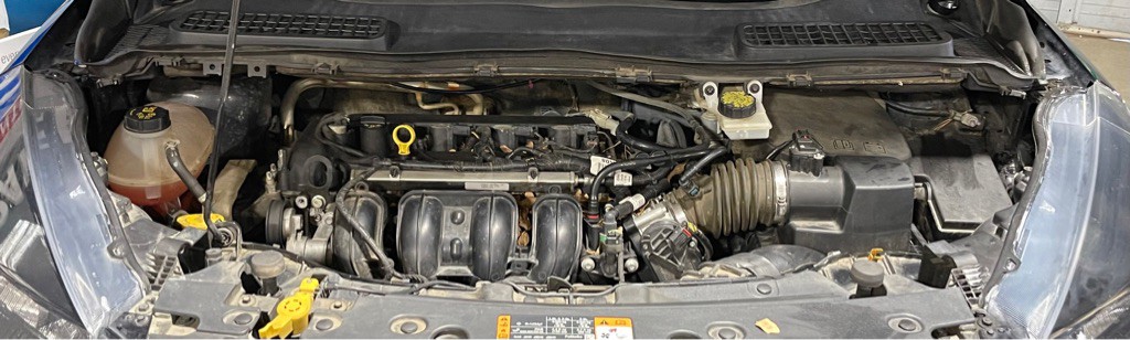 2019 Ford Escape Image 8