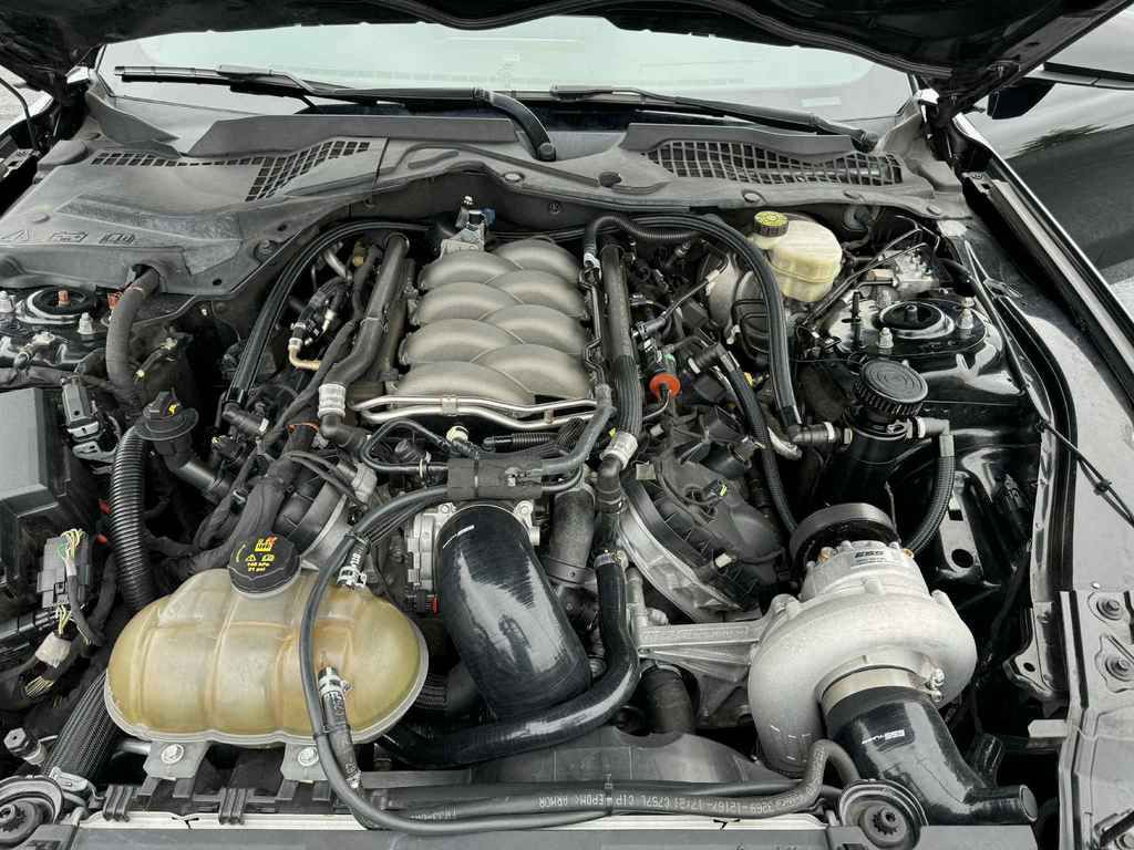 2020 Ford Mustang Image 4