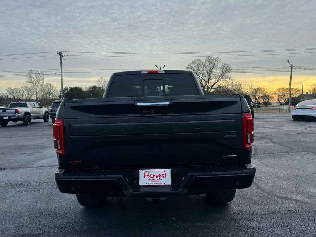 2015 Ford F-150 Image 1