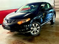 Image for 2014 Nissan Murano Crosscabriolet ID: 6726787
