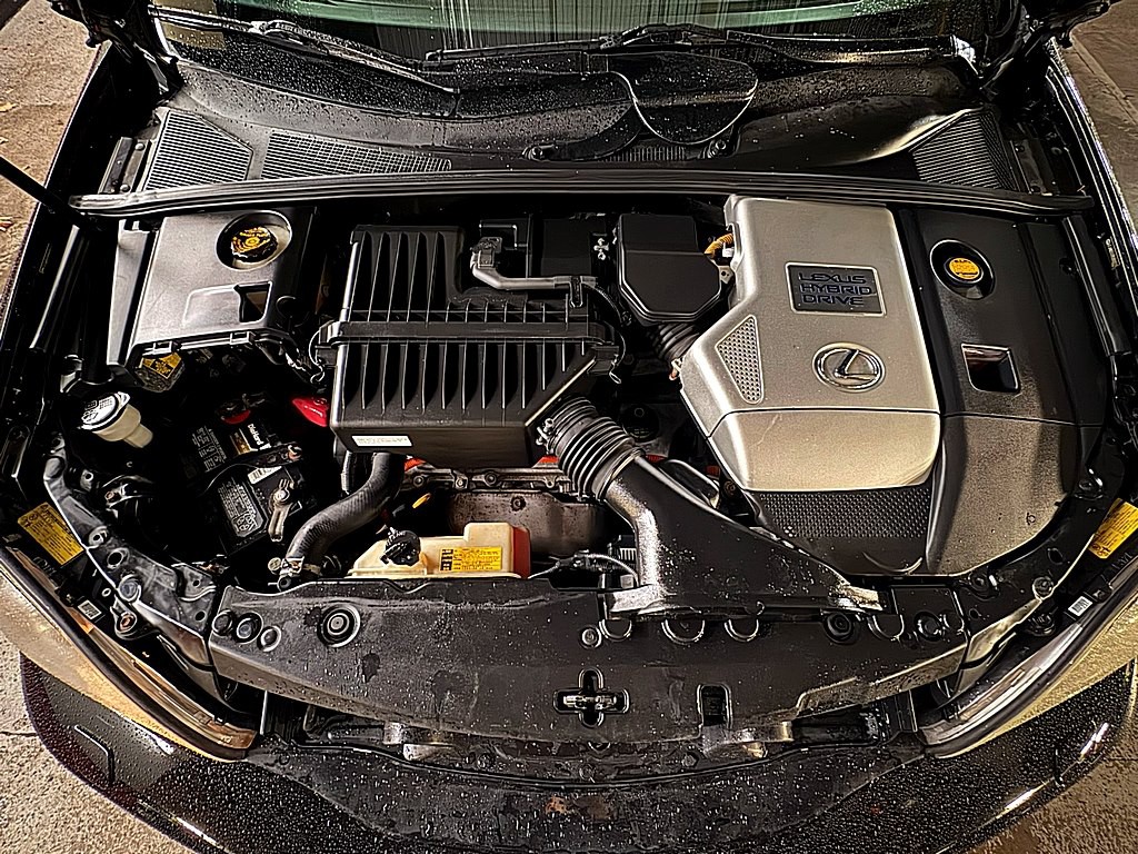 2008 Lexus RX Image 2