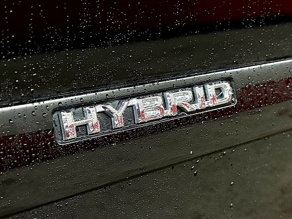 2008 Lexus RX Image 28