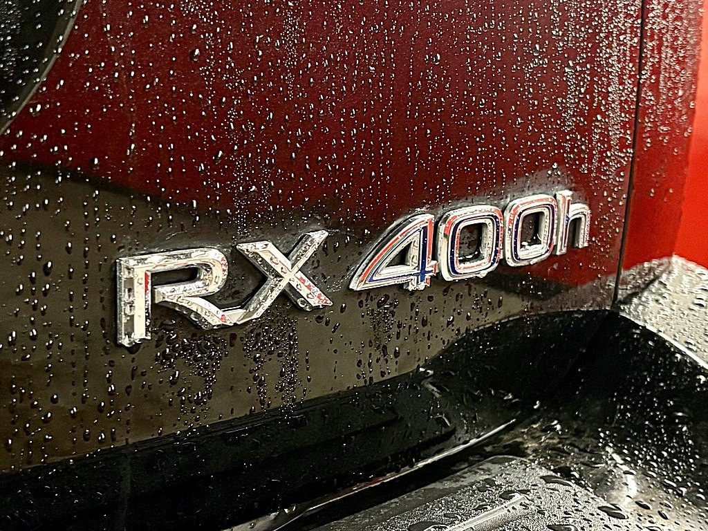 2008 Lexus RX Image 30