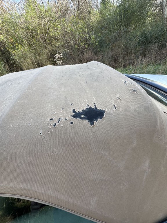 2004 Toyota Camry Image 14