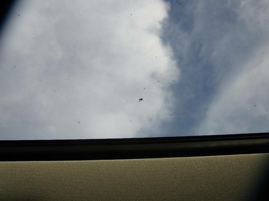 2009 Ford Flex Image 14