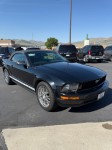 Image for 2005 Ford Mustang  ID: 6686760