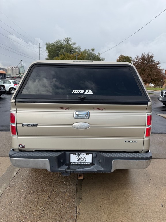 2010 Ford F-150 Image 6