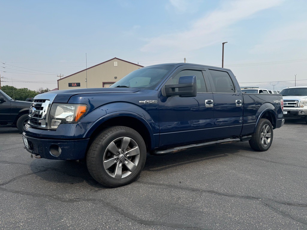 2010 Ford F-150 Image 1