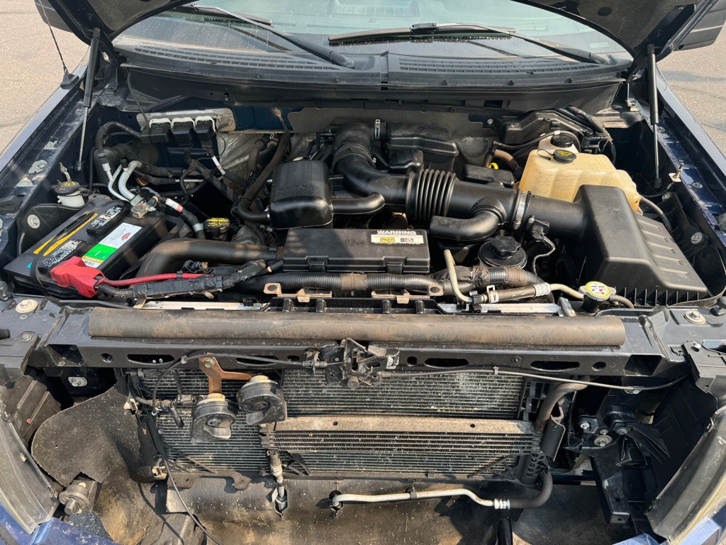 2010 Ford F-150 Image 13