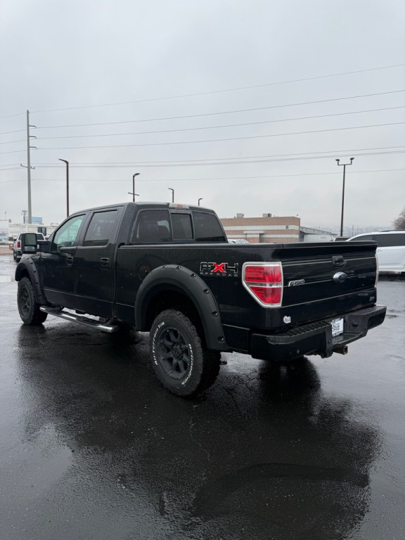 2010 Ford F-150 Image 4