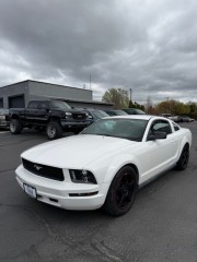 Image for 2008 Ford Mustang  ID: 7346569