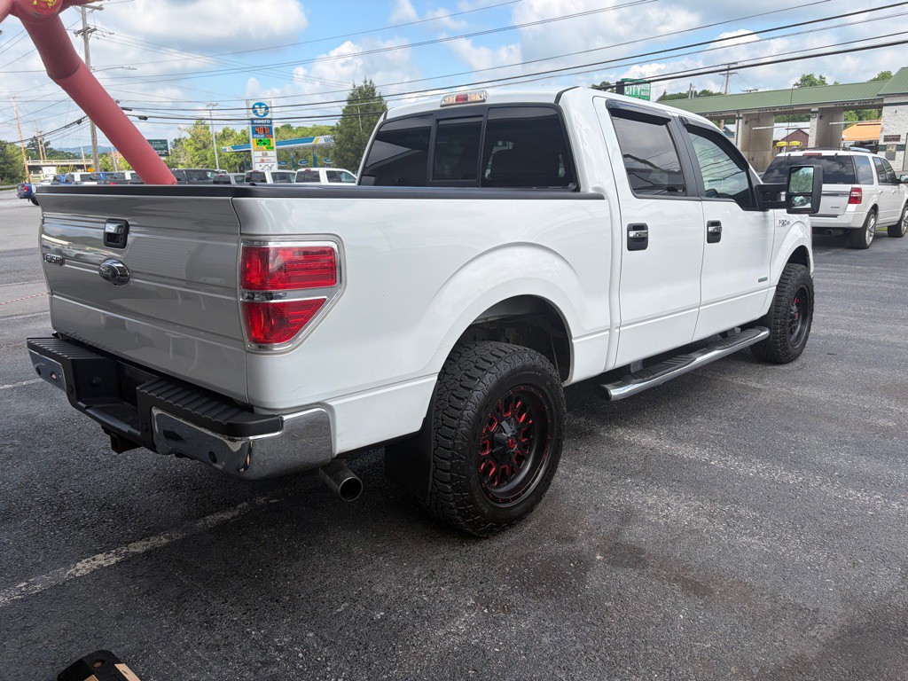 2014 Ford F-150 Image 3