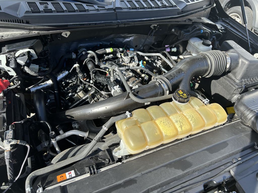 2020 Ford F-150 Image 19