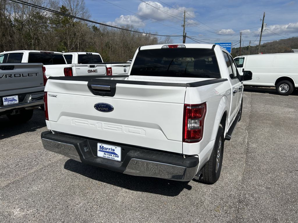 2020 Ford F-150 Image 4