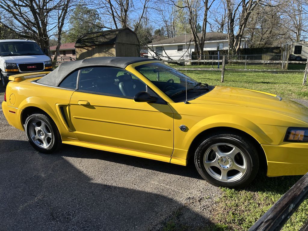 2004 Ford Mustang Image 3