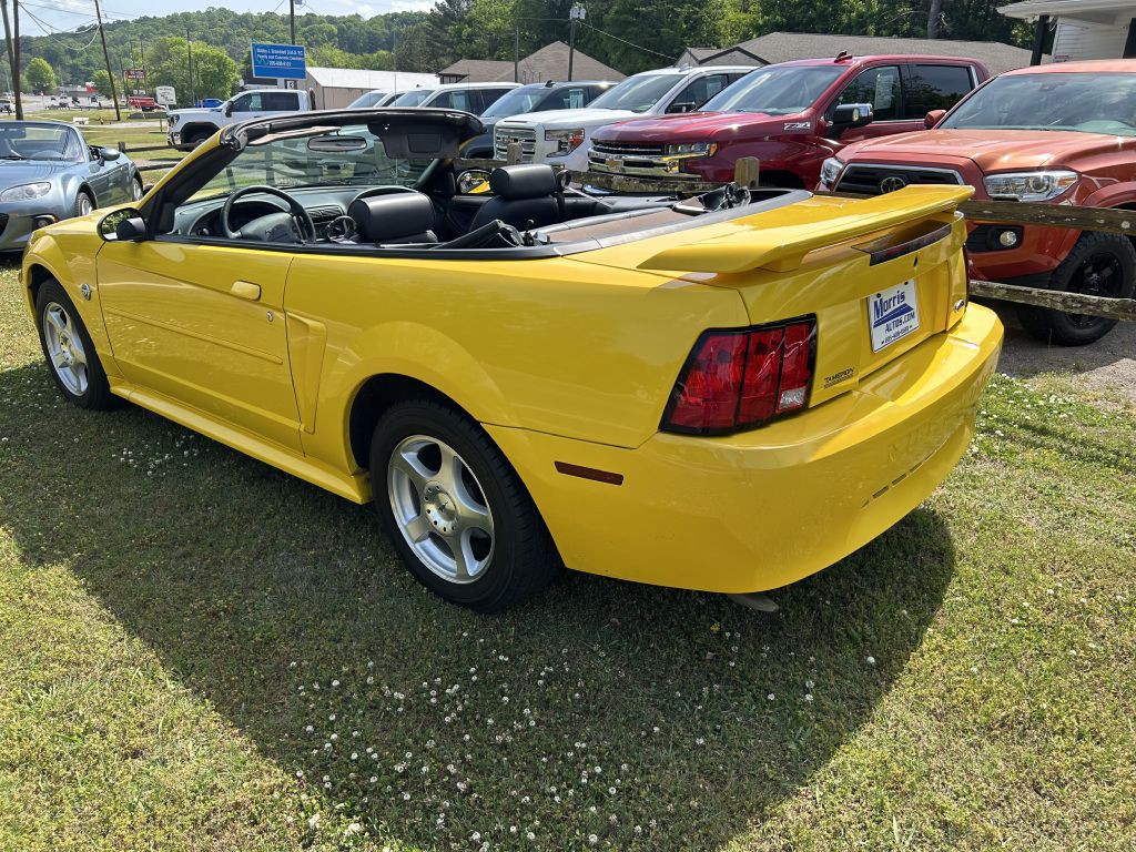 2004 Ford Mustang Image 19