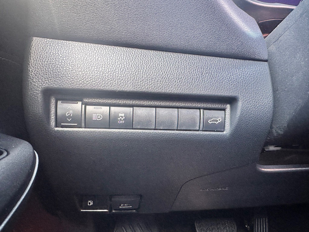 2024 Toyota Venza Image 19