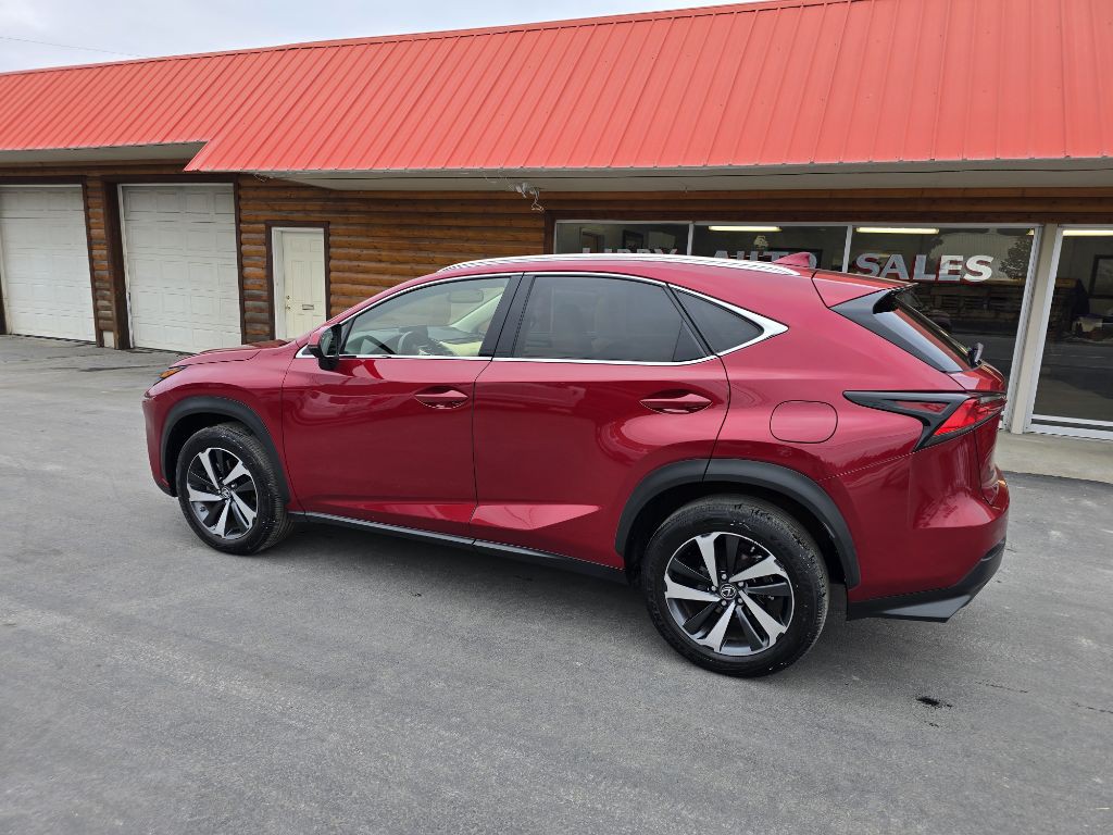 2021 Lexus NX 300 Image 6