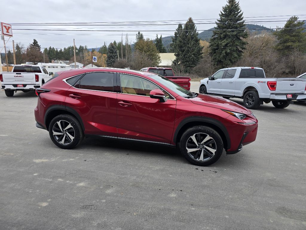 2021 Lexus NX 300 Image 3
