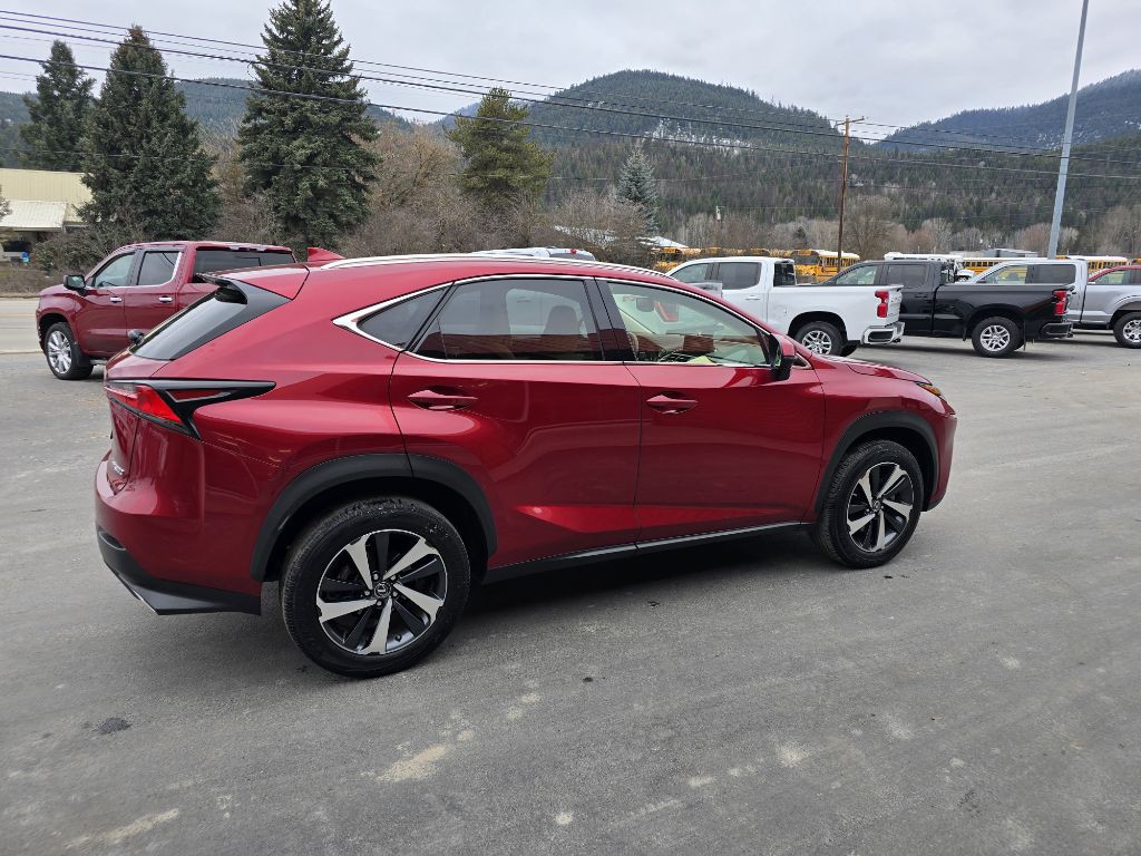 2021 Lexus NX 300 Image 4