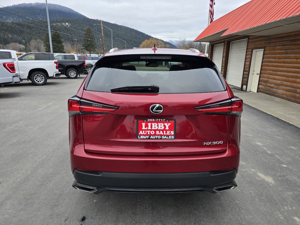 2021 Lexus NX 300 Image 5