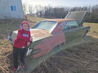 Image for 1971 Dodge Dart swinger ID: 6086990