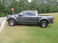 Image for 2017 Ford F-150 Raptor ID: 6484989