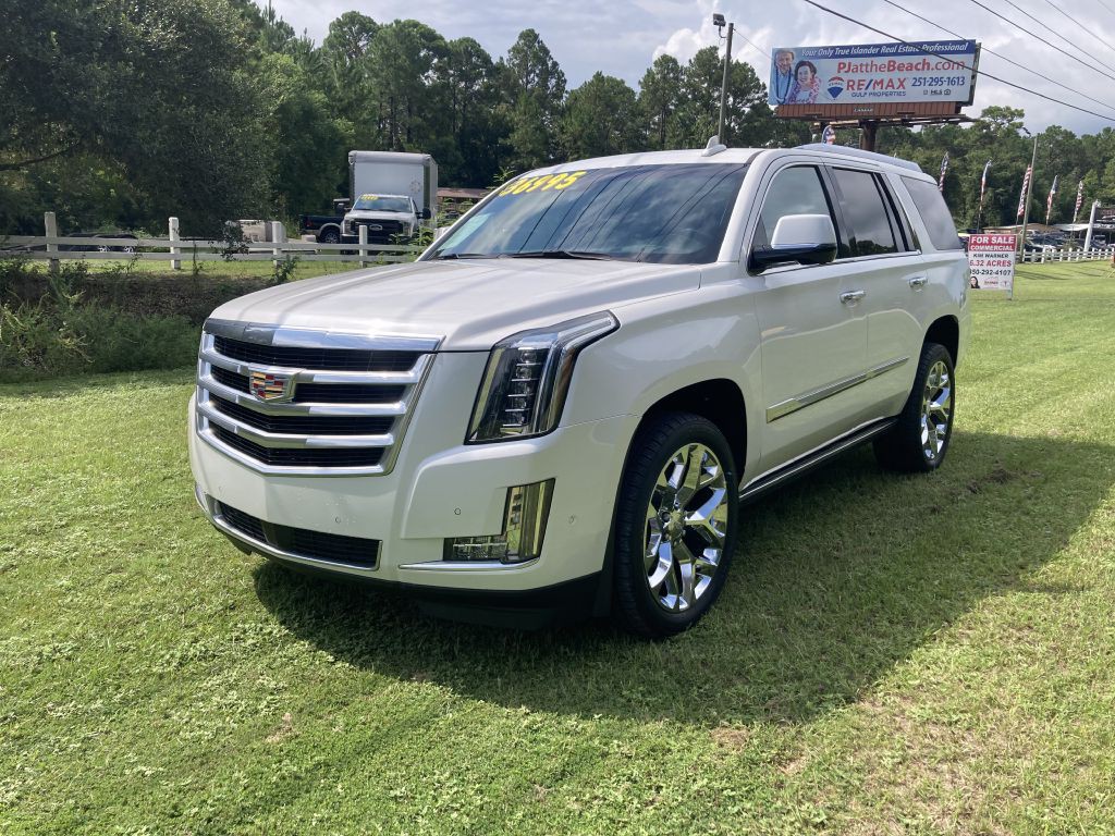 2019 Cadillac Escalade Image 2