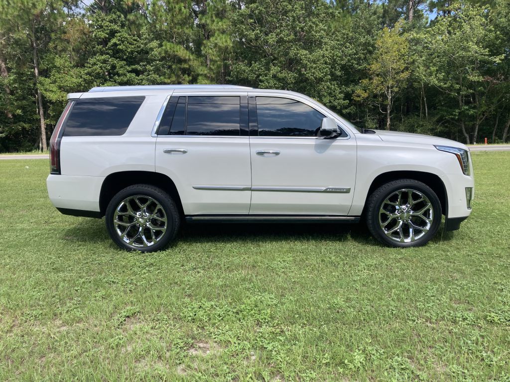 2019 Cadillac Escalade Image 5