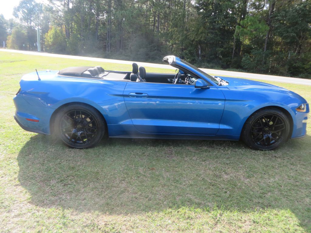 2019 Ford Mustang Image 5