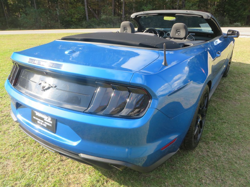 2019 Ford Mustang Image 6