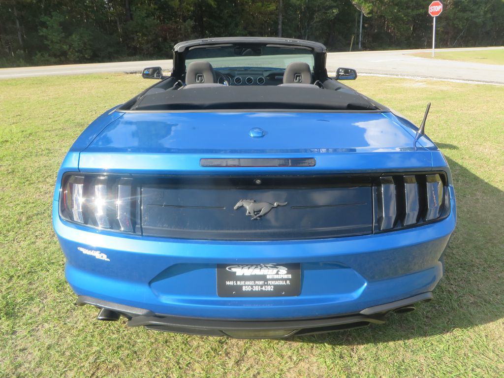 2019 Ford Mustang Image 7