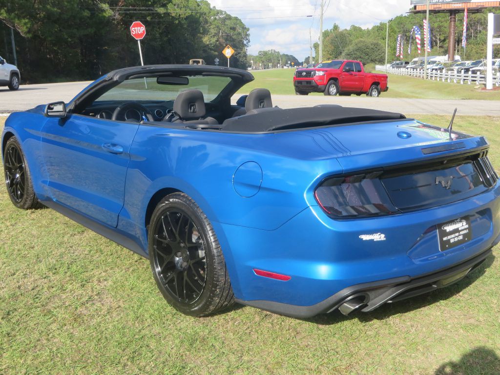 2019 Ford Mustang Image 8