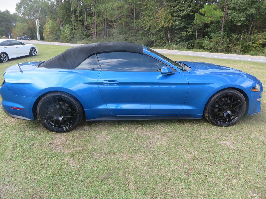 2019 Ford Mustang Image 11