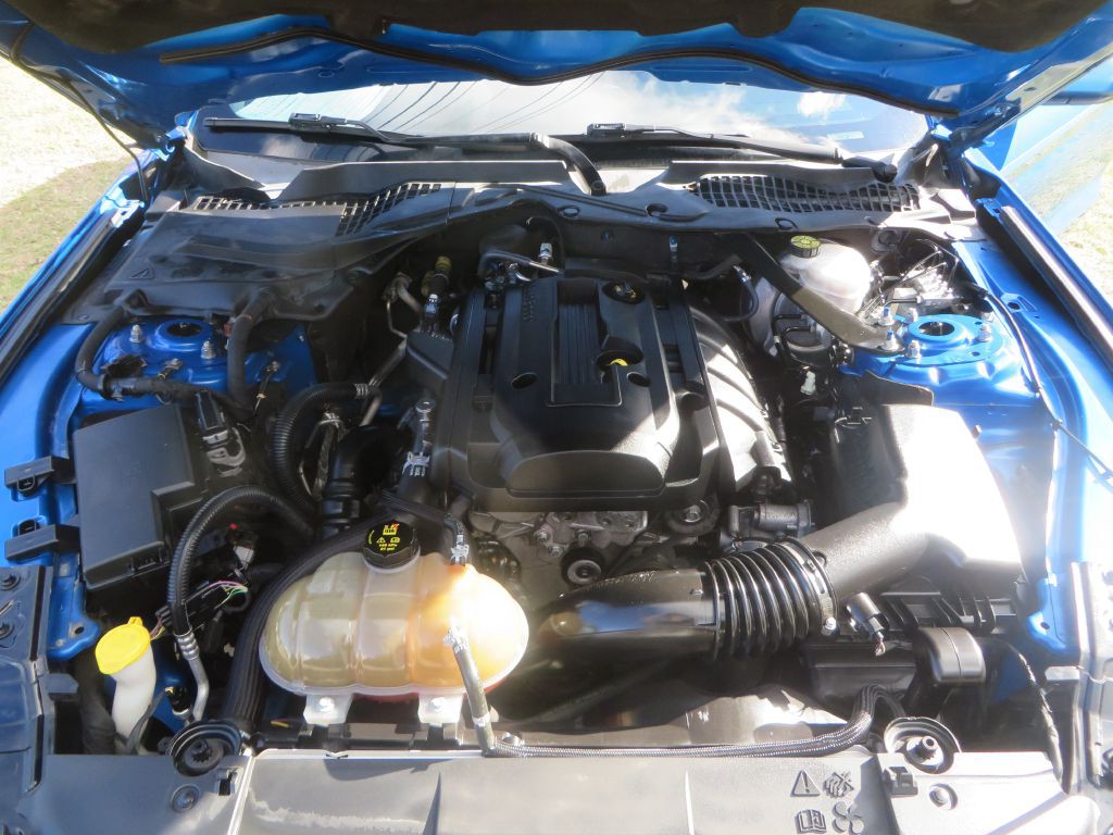 2019 Ford Mustang Image 24