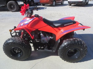 Image for 2024 Honda Trx90x  ID: 7064104