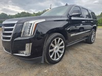Image for 2018 Cadillac Escalade Premium Luxury ID: 6671909