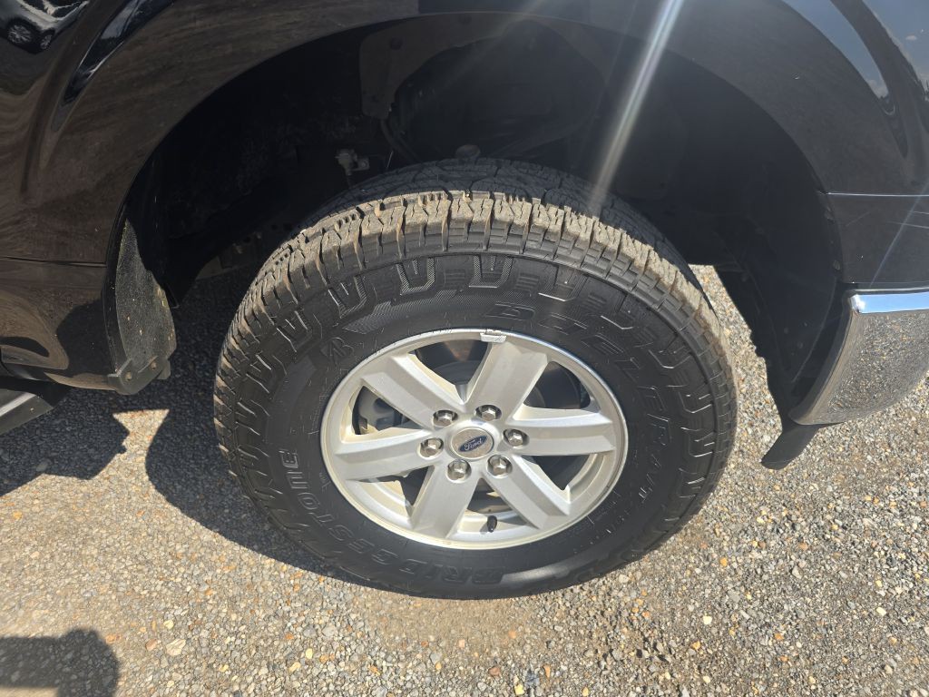2021 Ford F-150 Image 7