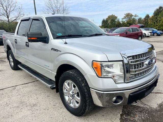 2014 Ford F-150 Image 3