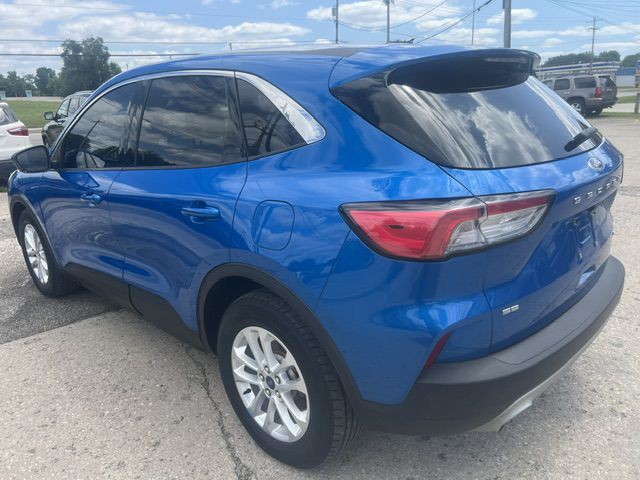 2020 Ford Escape Image 6