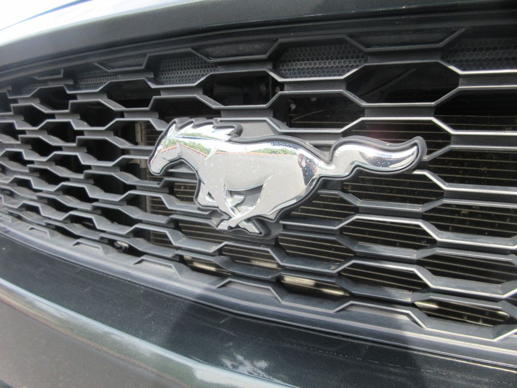 2015 Ford Mustang Image 18