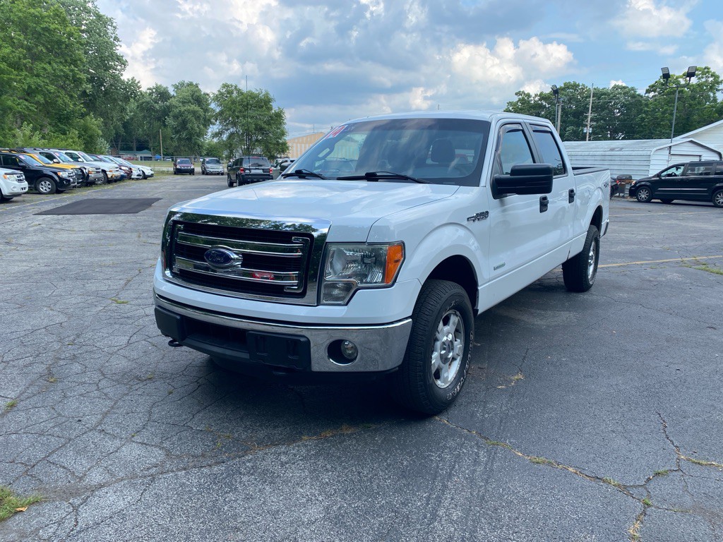 2014 Ford F-150 Image 1