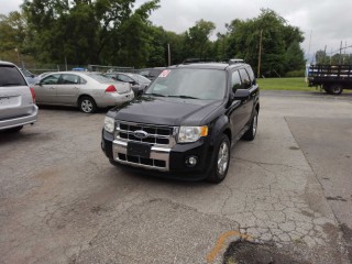 Image for 2010 Ford Escape Limited ID: 6648746