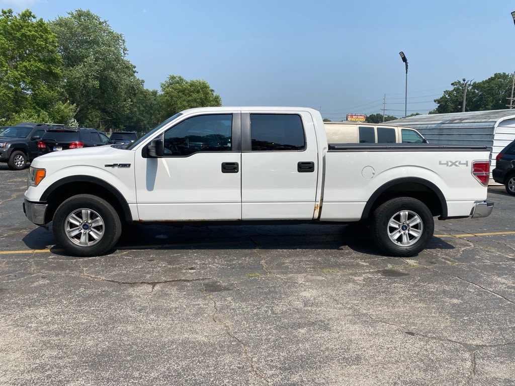 2010 Ford F-150 Image 2