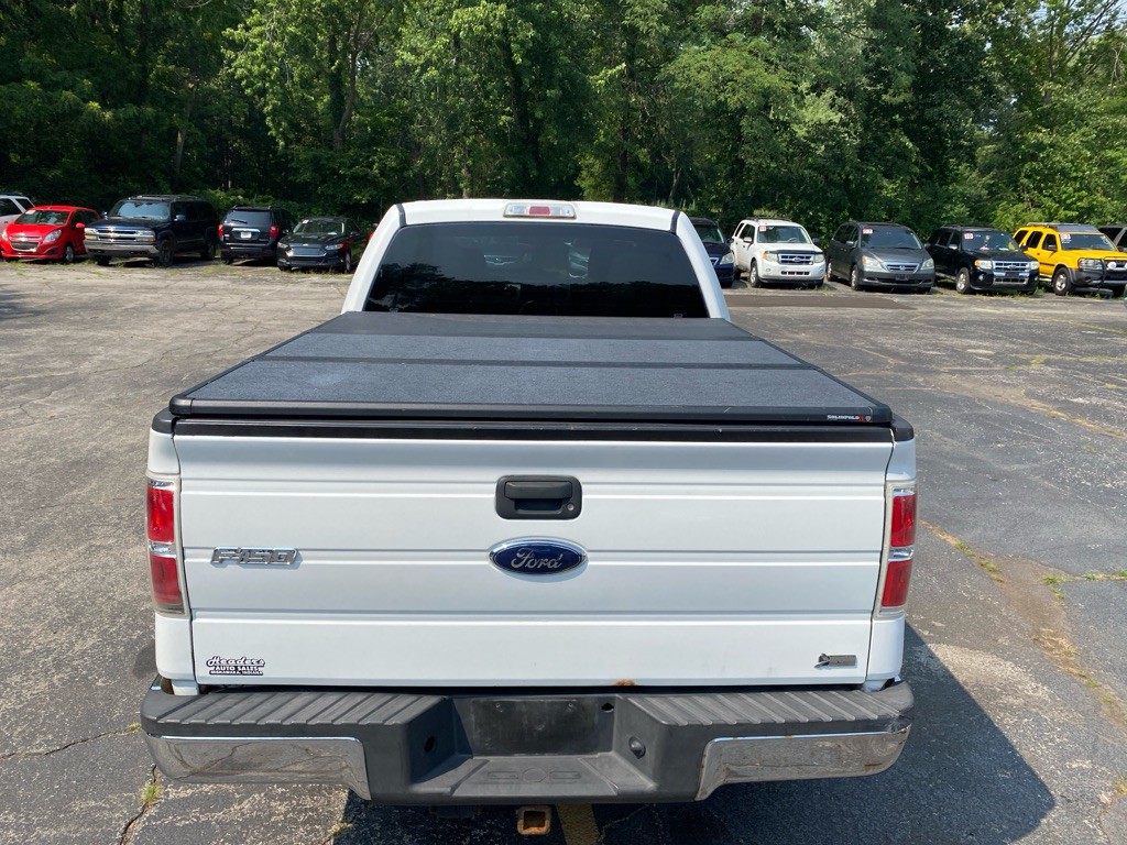 2010 Ford F-150 Image 4