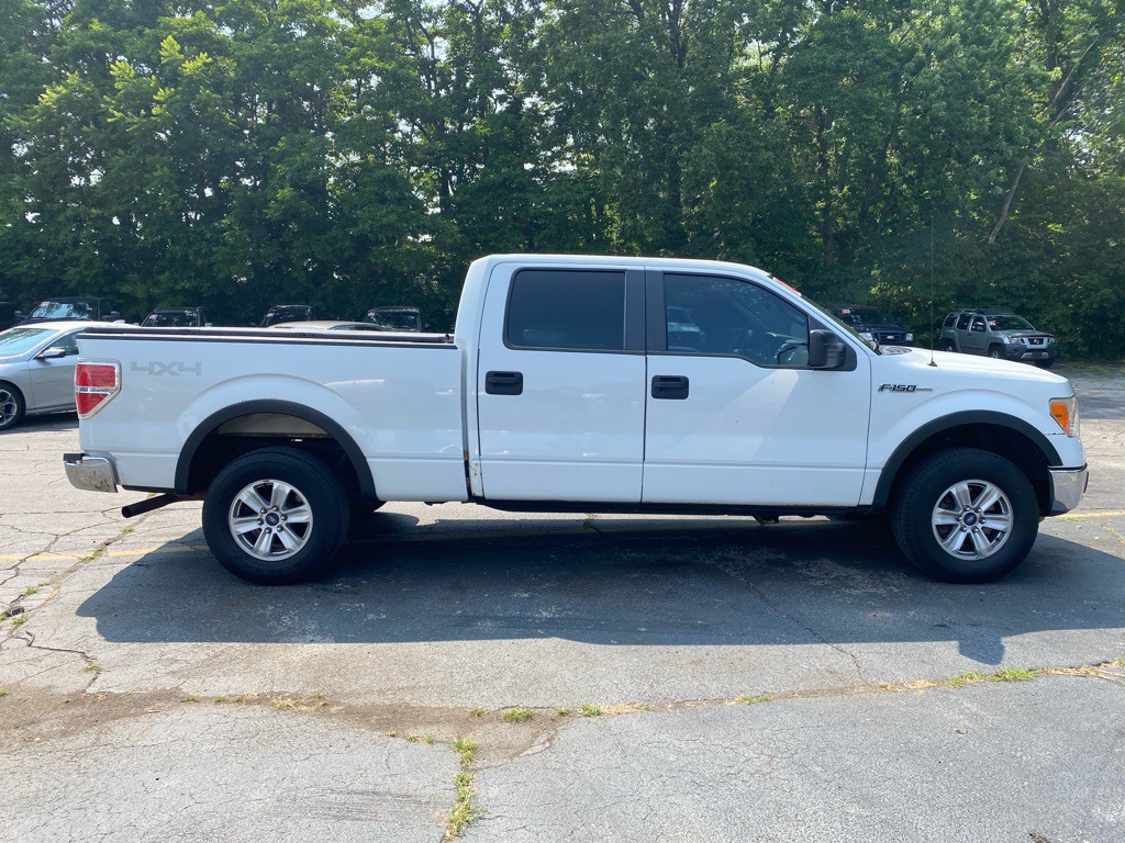 2010 Ford F-150 Image 5