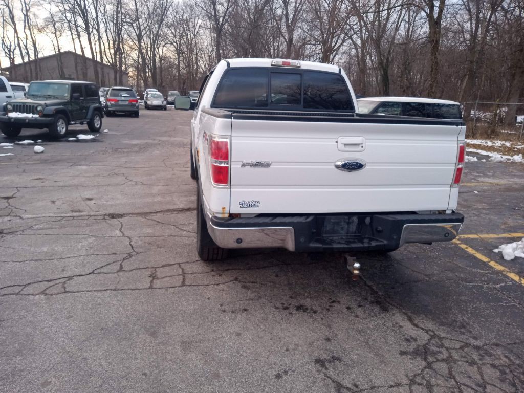 2010 Ford F-150 Image 17