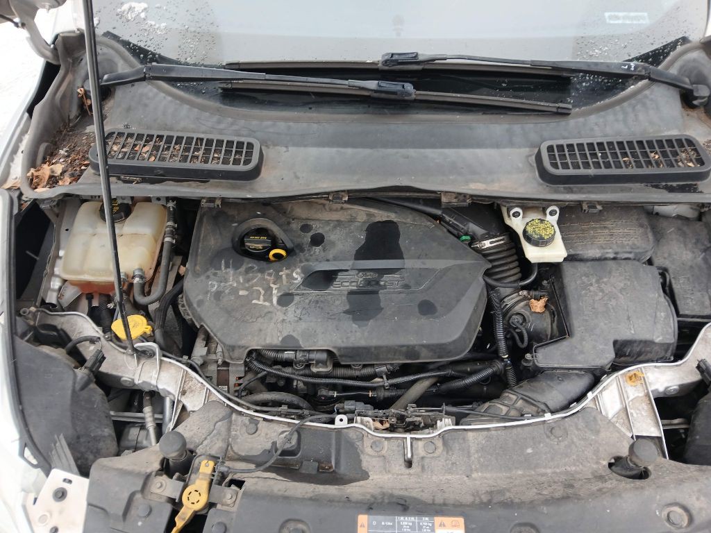 2014 Ford Escape Image 17